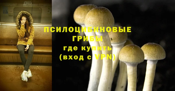 прущие крисы Баксан
