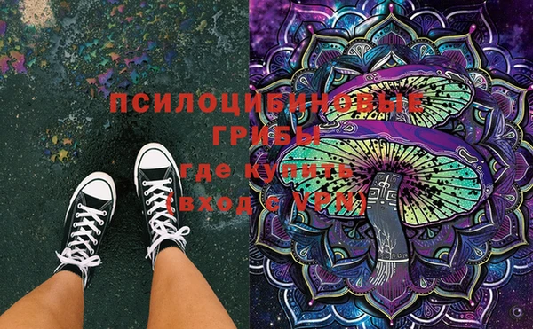 прущие крисы Баксан