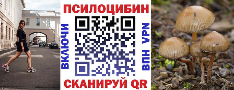 Галлюциногенные грибы мухоморы  магазин  наркотиков  Новосиль 